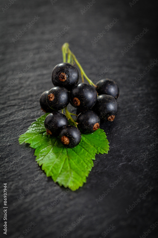Black currant on green leaf Black currant on green leaf