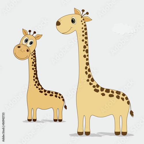 Fototapeta Naklejka Na Ścianę i Meble -  Two cute giraffes