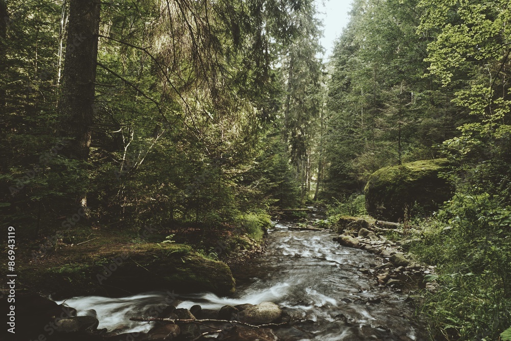 Obraz premium Creek