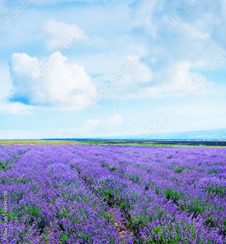 nature in Crimea