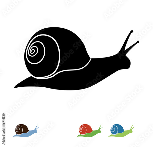 Snail Vector Silhouette