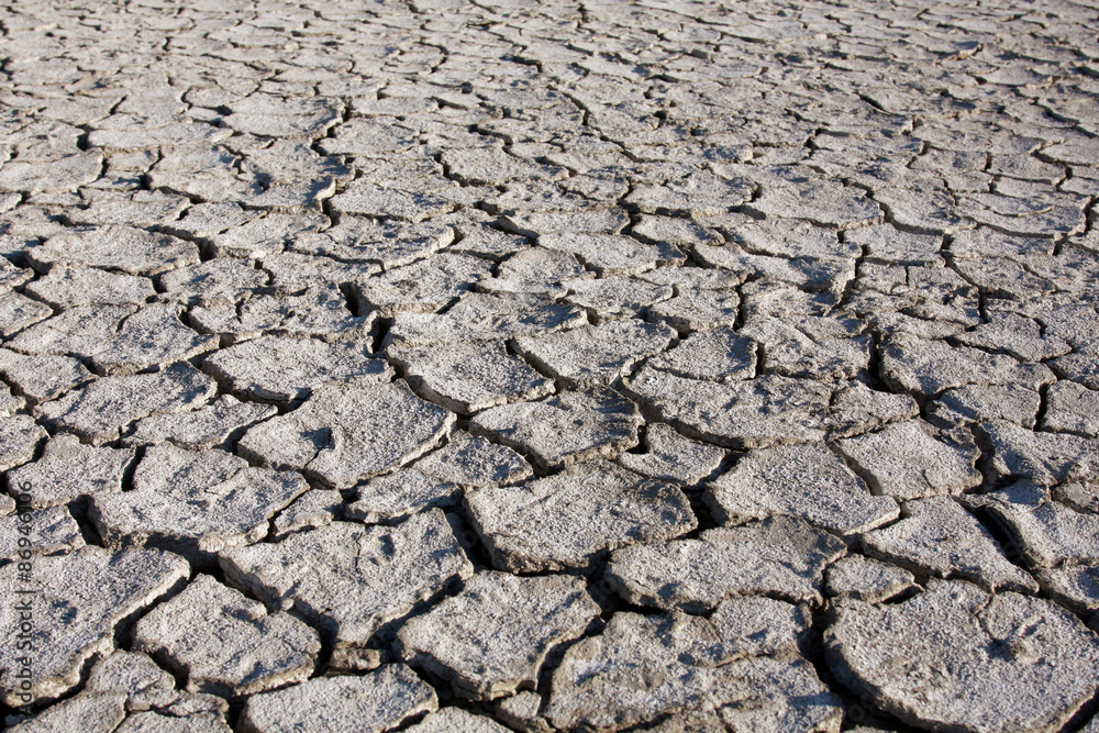 desert texture, background parched and cracked earth
desert texture, background parched and cracked earth
