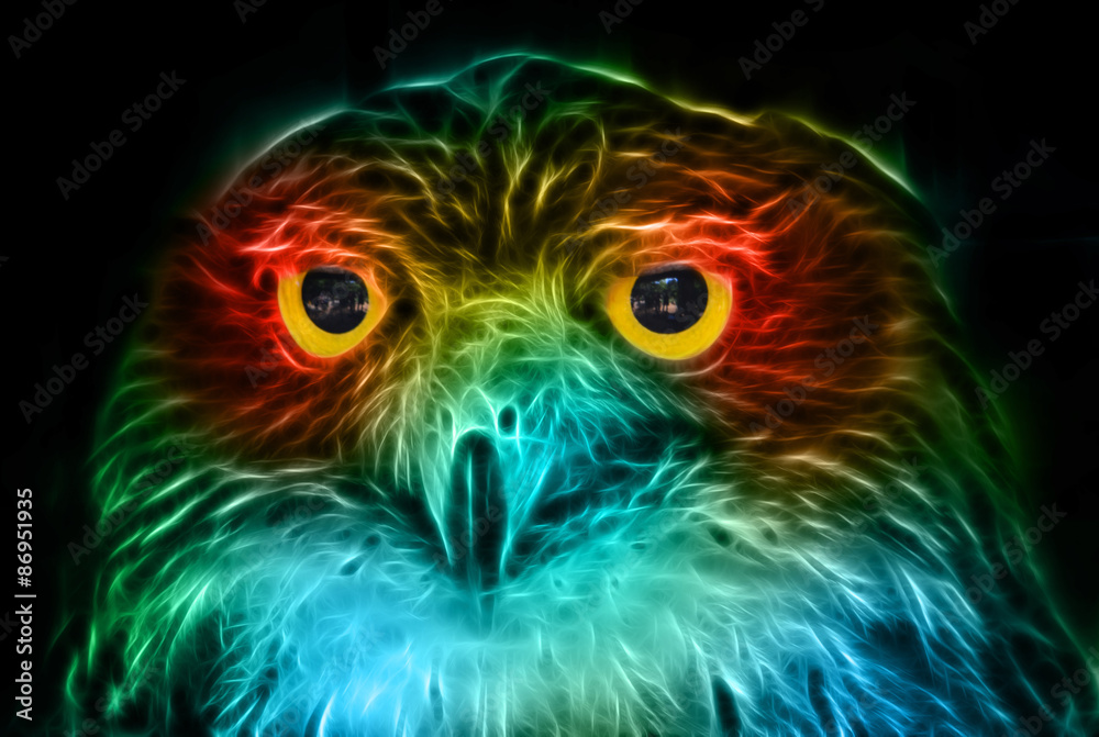 Digital fantasy drawing of an owl

