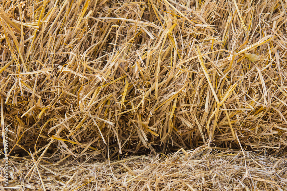 Texture of dry straw on the floor