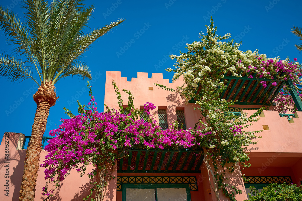 Fototapeta premium beautiful Cottage with flowers