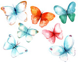 A collection of watercolour butterflies on white background