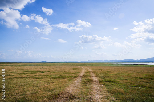 Landscape of cloud and dry field
