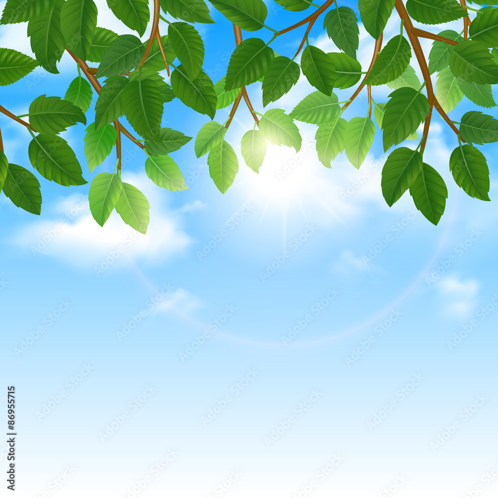 Green leaves and sky background border Green leaves and sky background border