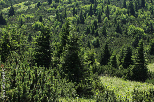 Hiking path on the Rax in the Austrian Alps © KerstinKuehne