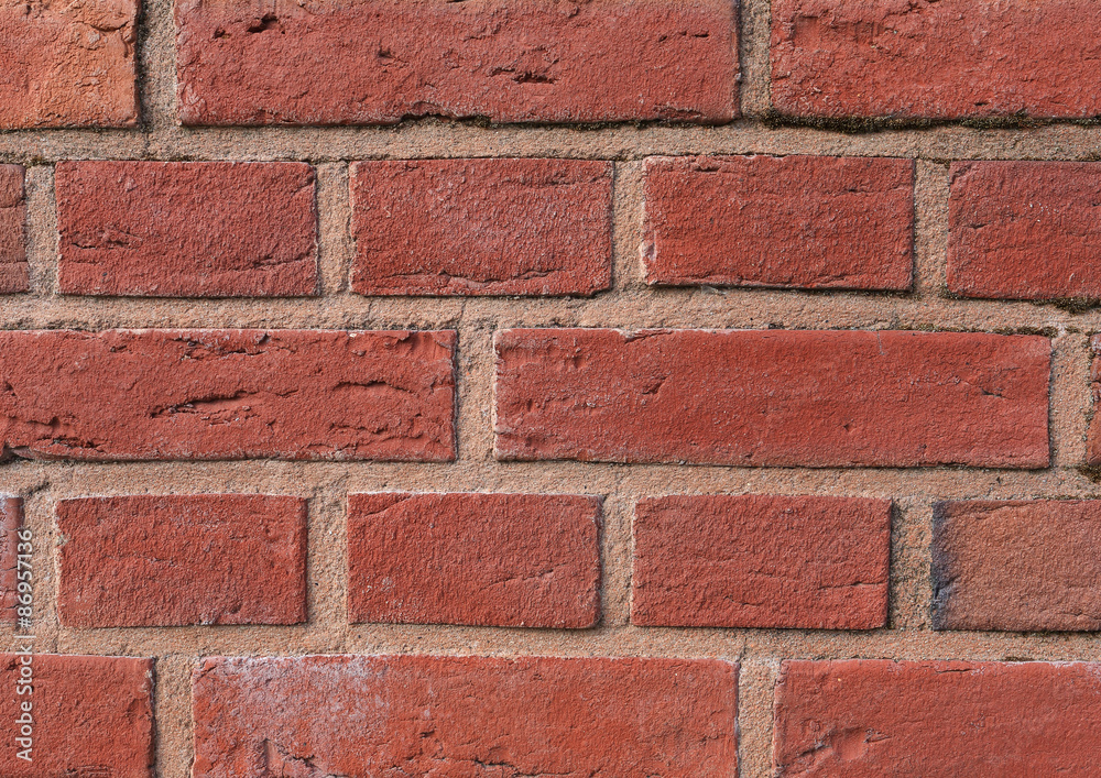 Obraz premium Ziegelwand
