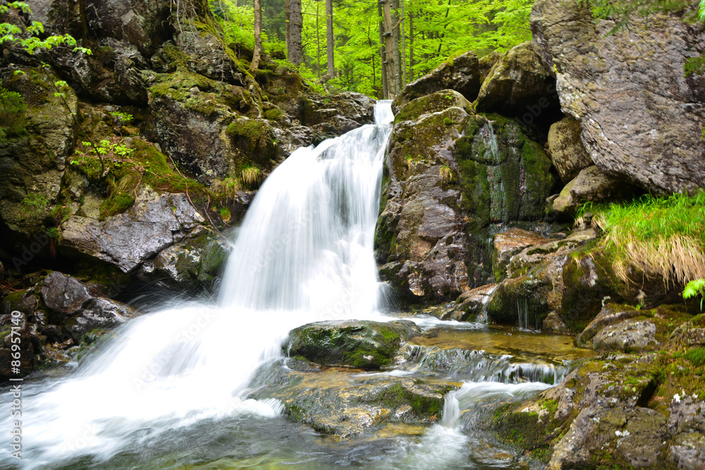 Obraz premium Wasserfall im Bayerischen Wald