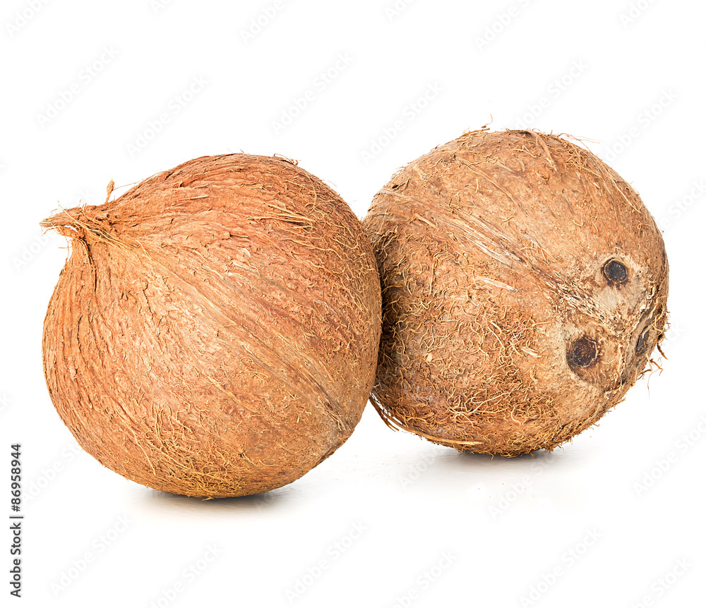 Coconuts isolated on white background Coconuts isolated on white background