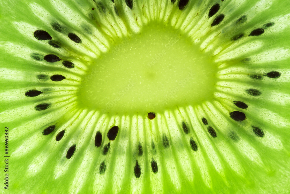 kiwi kiwi