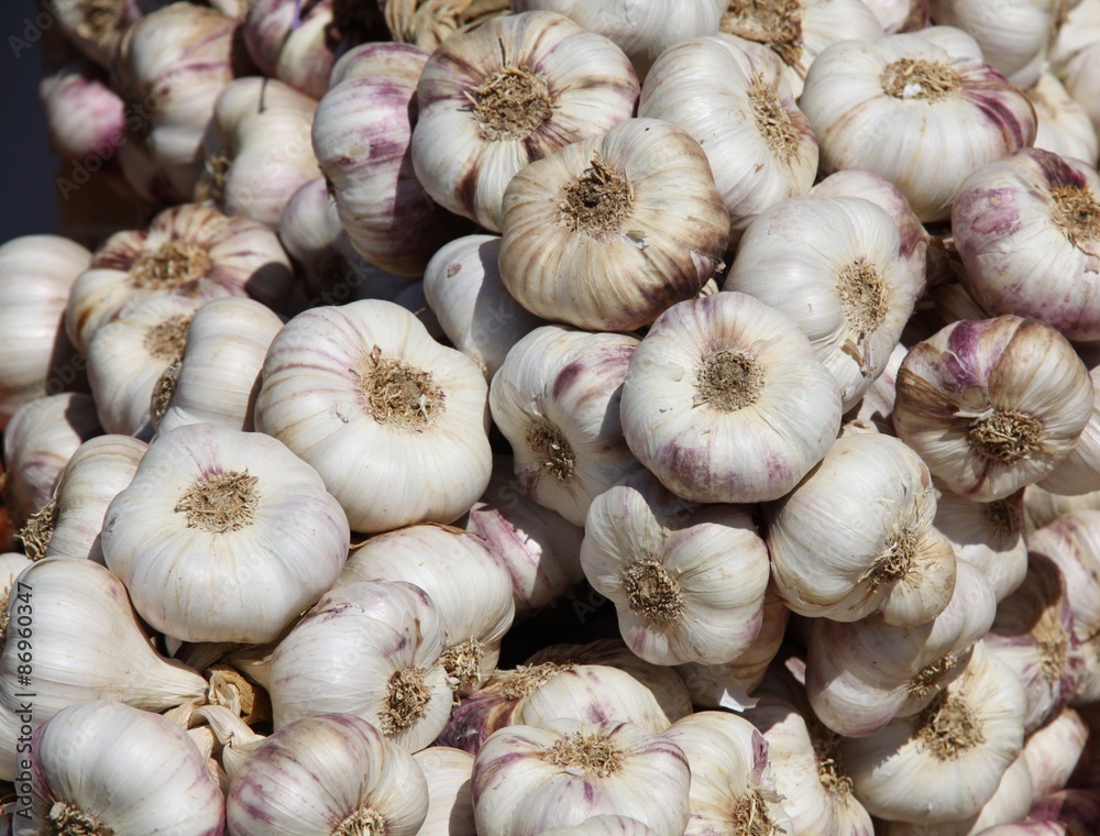 Knoblauch Knoblauch