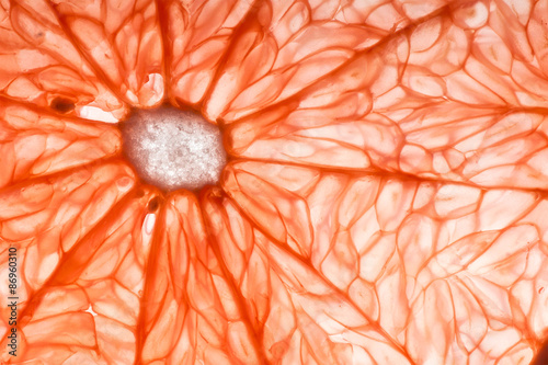 Photo grapefruit slice closeup