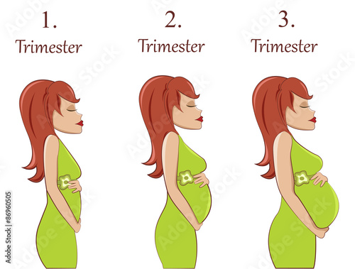 Pregnant woman-first,second and third trimester