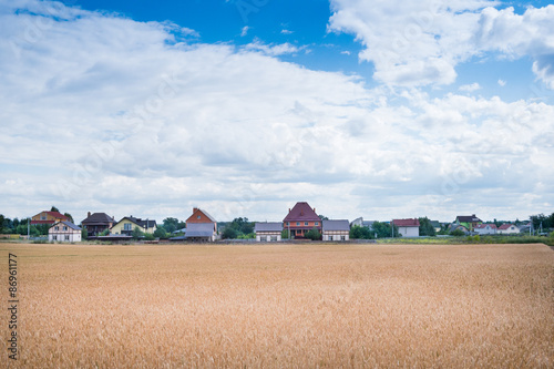 Houses near the field at summer midday