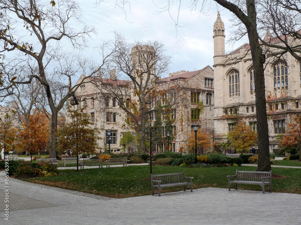 Fototapeta premium University of Chicago Campus