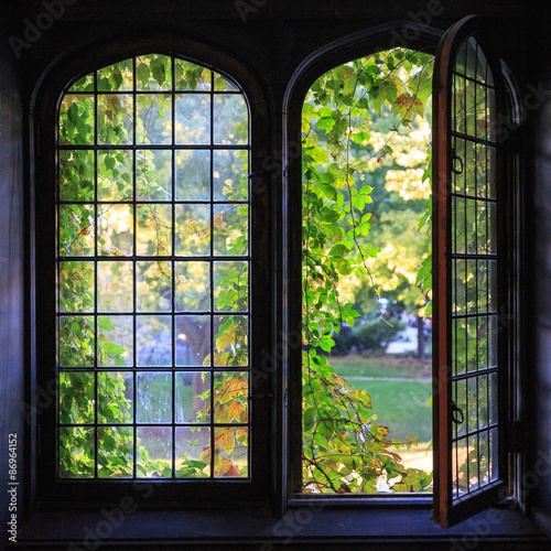 Fényképezés University Windows