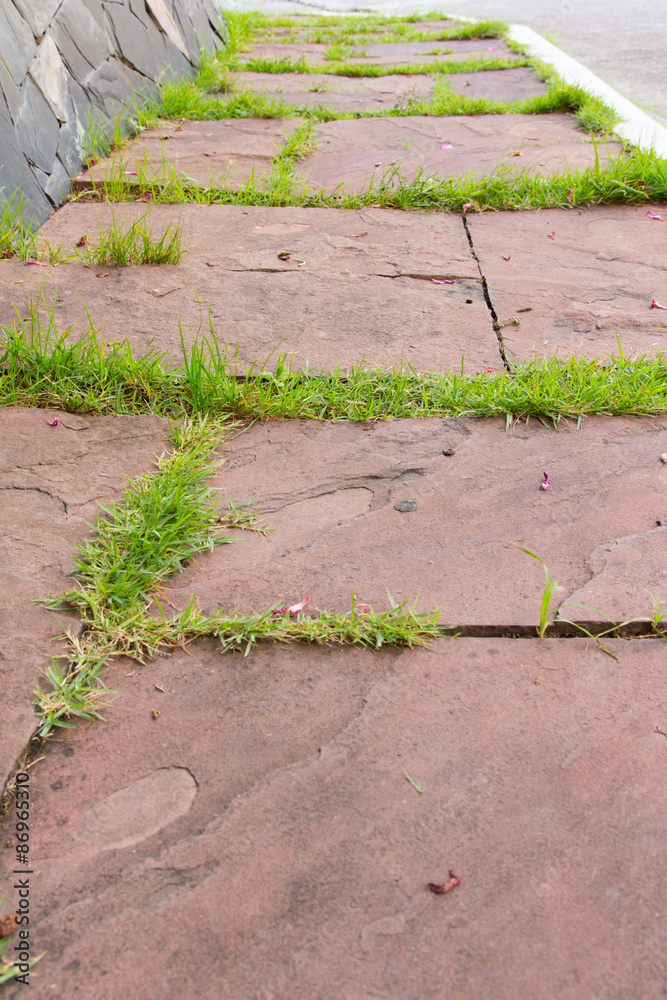 Obraz premium The red brick walkway in garden