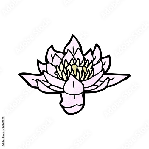 waterlily cartoon