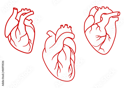 Human hearts icons in outline style