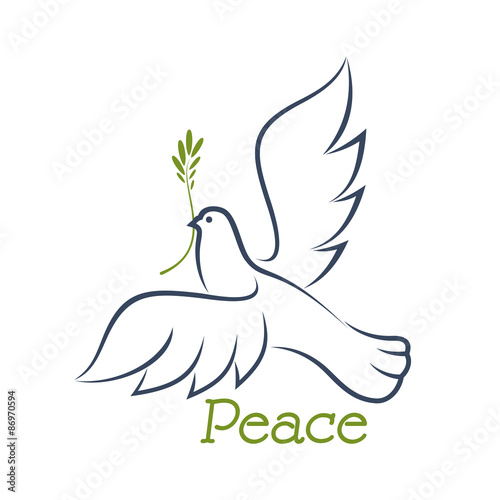 Dove of peace with green olive