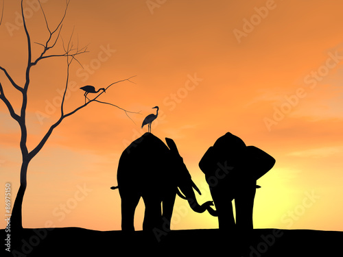 Two elephants holding each others trunk like lovers holding hands, a very tender scene. © vectorgoddess