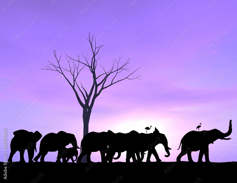One Elephant Leads The Way as the others follow with a purple sunset or sunrise. One Elephant Leads The Way as the others follow with a purple sunset or sunrise.