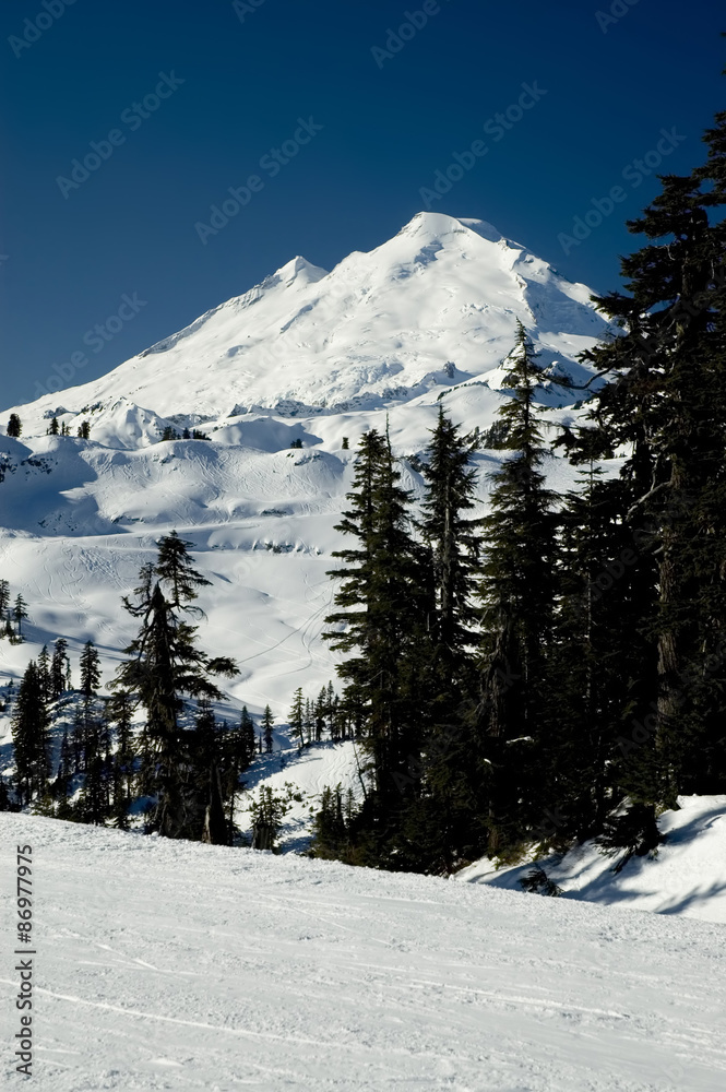 Fototapeta premium Mount Baker - Washington
