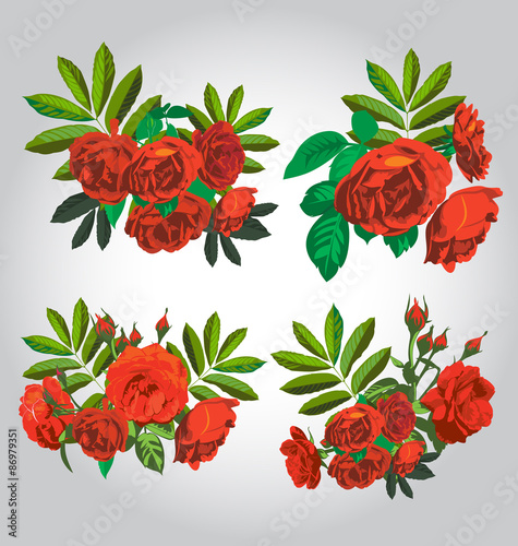 rose