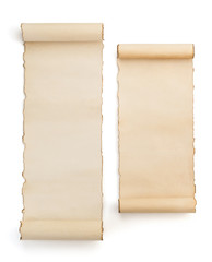 parchment scroll isolated on white