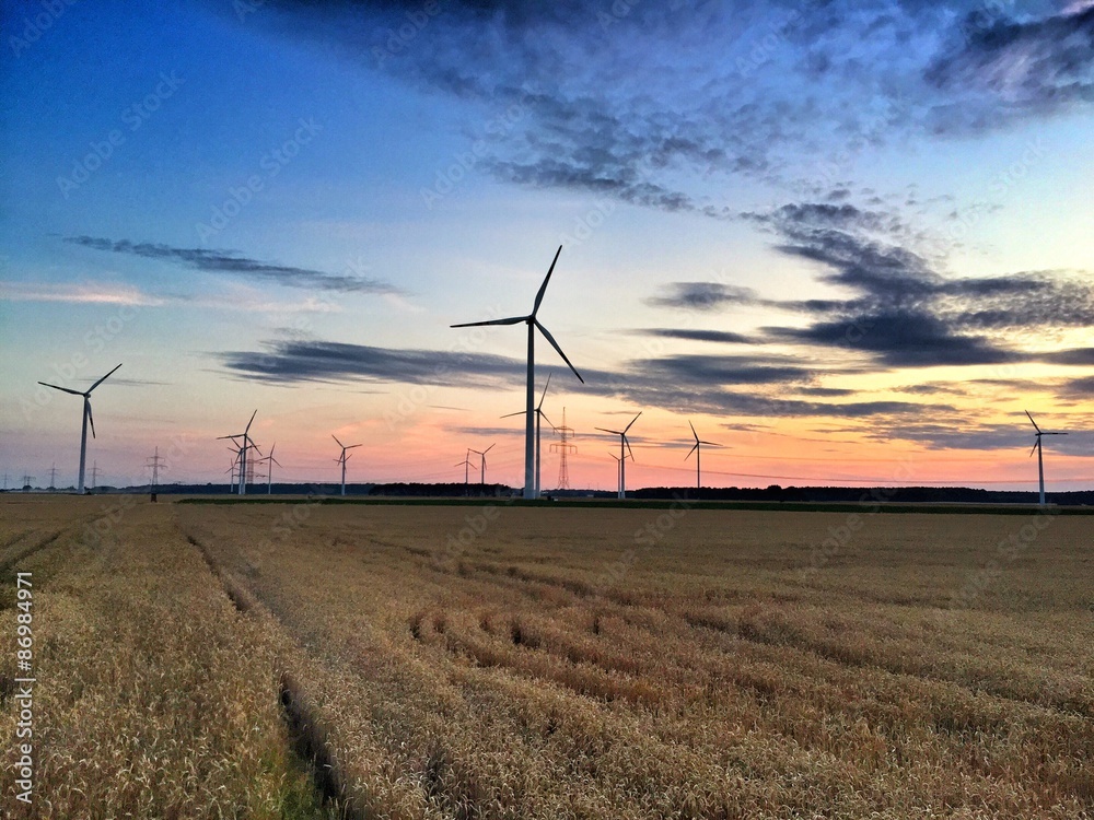 Obraz premium windräder sonnenuntergang