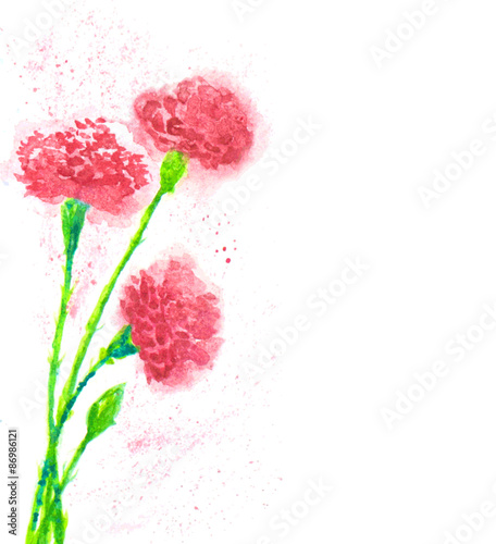 picture of the clove flowers. watercolor vector illustration