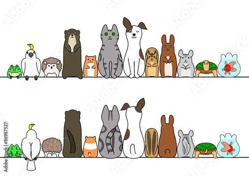 Pet animals in line, front and back