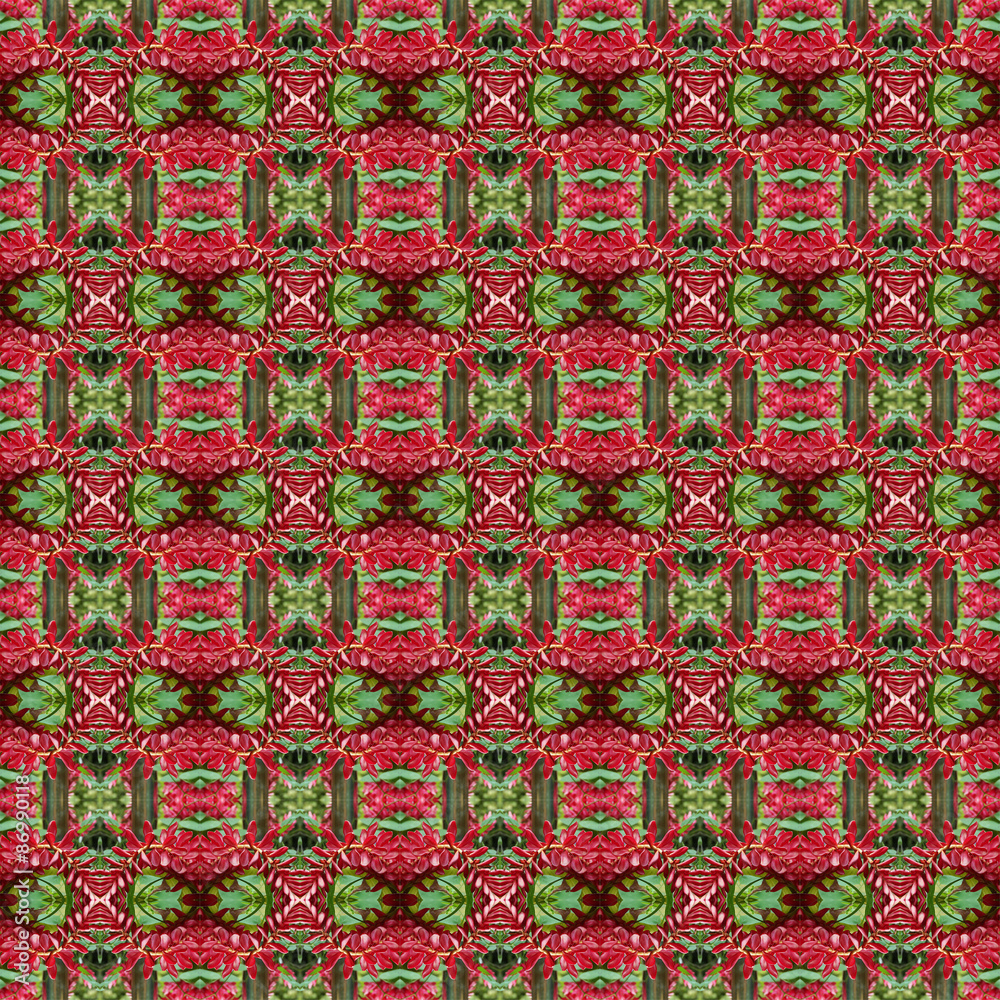 Beautiful of Red Ginger flower seamless Beautiful of Red Ginger flower seamless