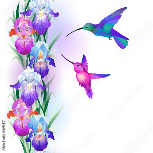 Fototapeta Naklejka Na Ścianę i Meble -  Seamless pattern with Iris flowers and hummingbird