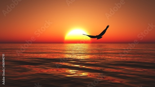 Colorful sunset over the ocean with clear sky, calm sea and lonely eagle