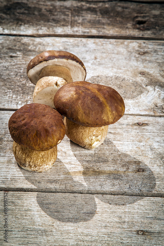 Fresh Boletus Edilus mushrooms on a wooden table