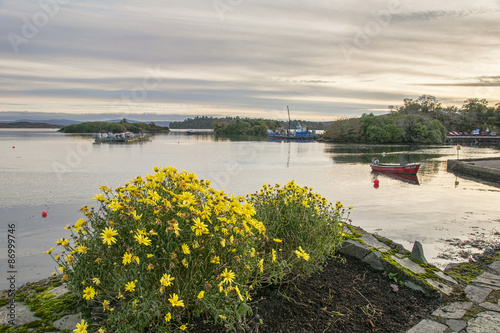 Glengarriff Harbour