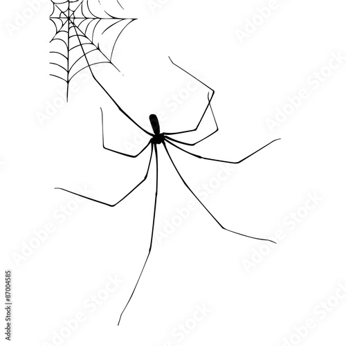 Spider and web stylized illustration vector