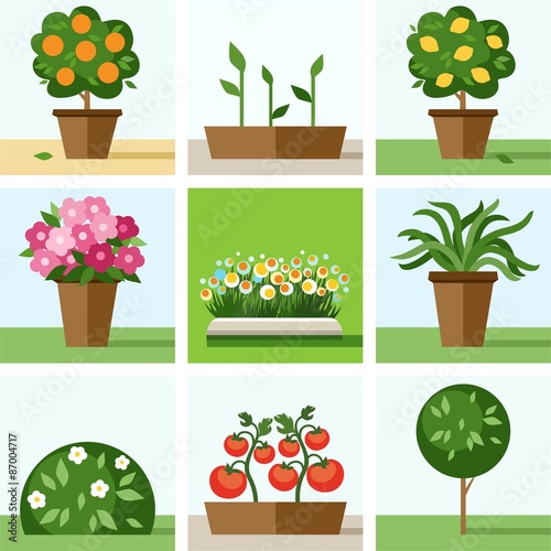 Garden, vegetable garden, flowers, trees, shrubs, flower beds, icons, colored. 