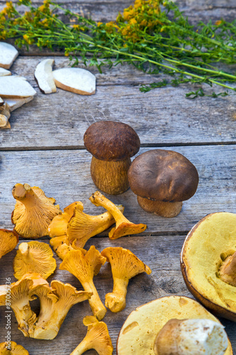 Fresh Chanterelle and Boletus Edilus mushrooms on a wooden table