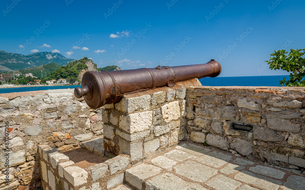Medieval cannon gun