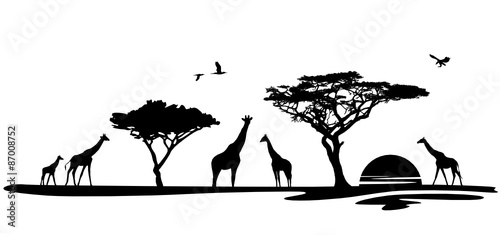 Silhouette Afrika mit Giraffen