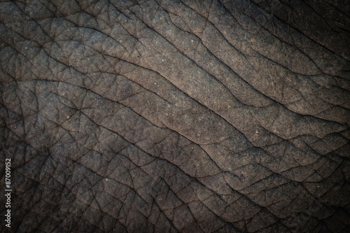 Elephant skin background texture abstract