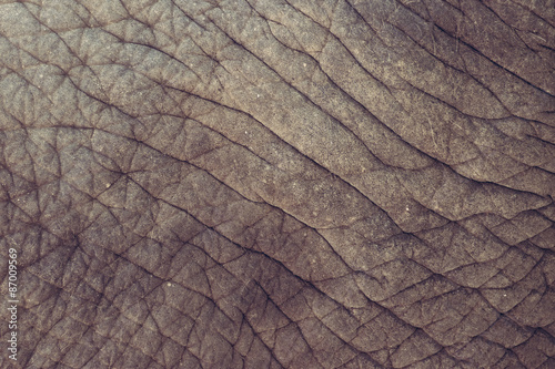 Elephant skin background texture abstract