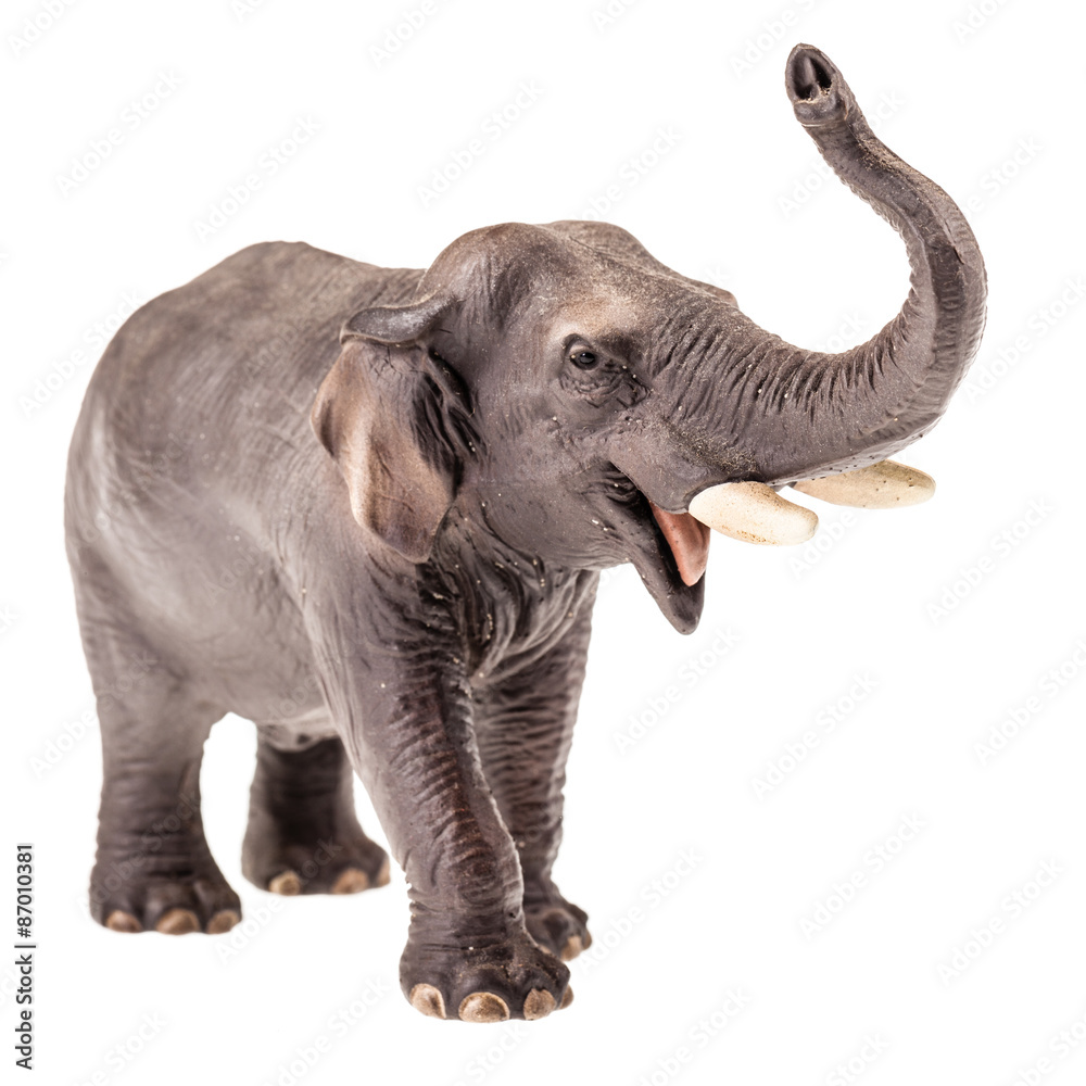 Obraz premium Isolated Elephant figurine