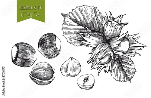 hazelnut