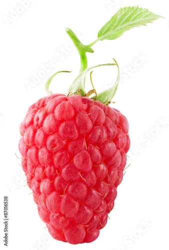 raspberry isolated on the white background